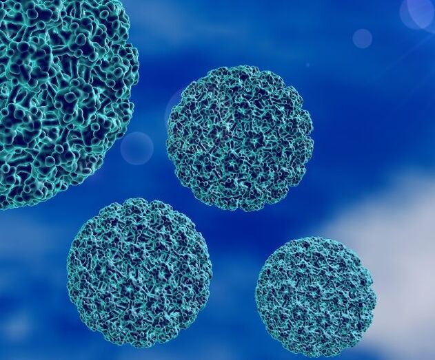 3D-Modell von HPV, das Warzen an den Fersen verursacht